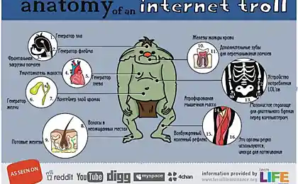 Анатомия интернет-тролля