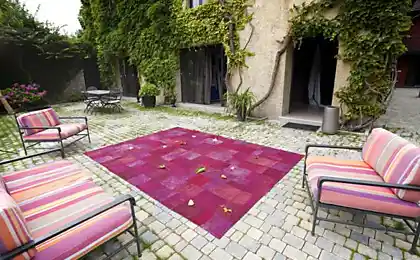 花园的夏装:露台和花园的花色口音