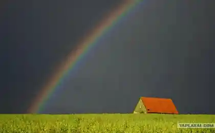 Семицвет - все про радугу