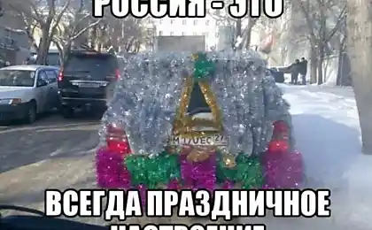 Колекція веселих зображень