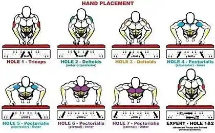 Удобная таблица, показывающая, какие группы мышц работают при различных видах отжиманий.