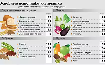 Миф о клетчатке: почему ее избыток опасен