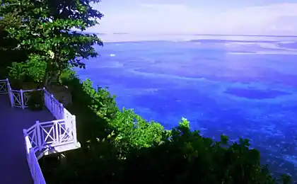 Привіт з Ямайка (5 фото)