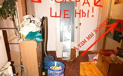 Чистая квартирка. Ну может чуток пыль смахнуть
