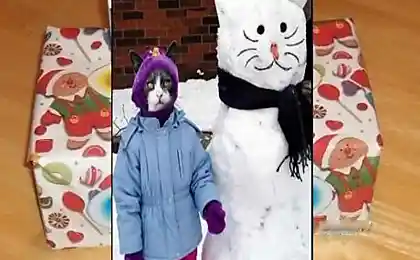 Оригинальный подарок