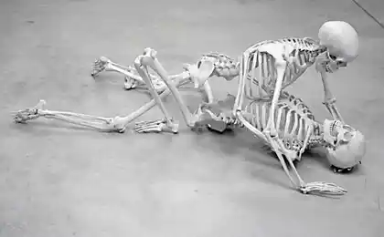 Como ayudar a la humanidad después de la muerte