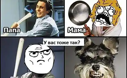 Что делают члены семьи если квартиру грабят