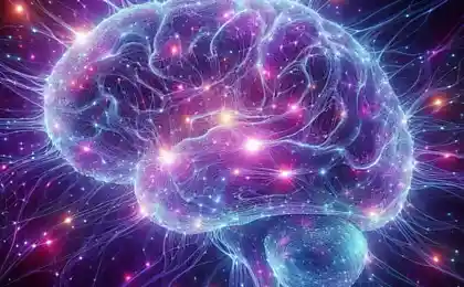 9 способов улучшить память и повысить обучаемость