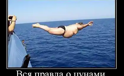 Вся правда о Цунами.