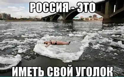 Сборник прикольных картинок