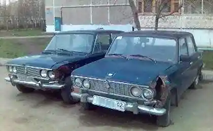 Шість близнюків!