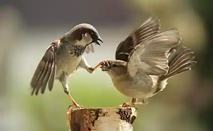 А ну рот закрой!