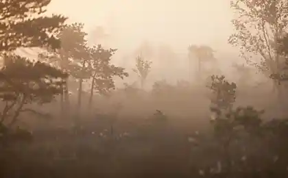 Національний парк Кемер в Латвії