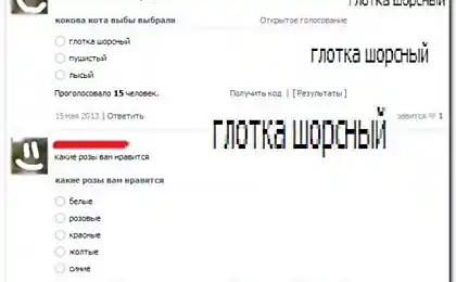 15 Самых Безудержных Грамотеев Интернета, Которые Разорвут Ваш Мозг В Лоскуты!