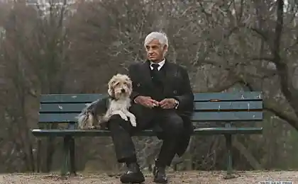 Чоловік і собака