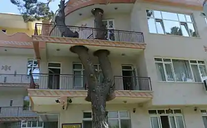 Що я маю на увазі "Респект природи".
