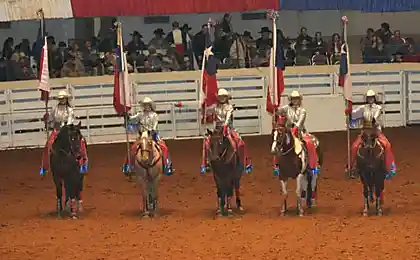 Mercedes Rodeo(Cowgirl Chicks)