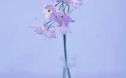 Холодные оттенки