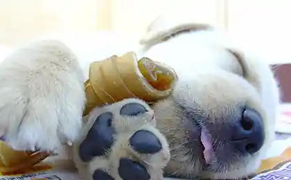спа-а-а-ть
