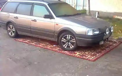 Для любителей ковров