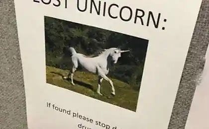 Ну, вы поняли