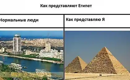 Истинная правда.