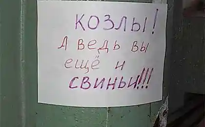Накал страстей в объявлении