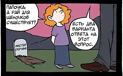 Рай для щеночков и немного философии