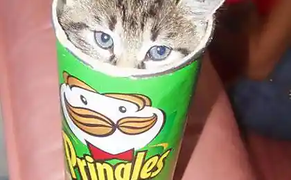 Pringles с сюрпризом