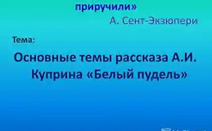 Где брать темы для рассказов