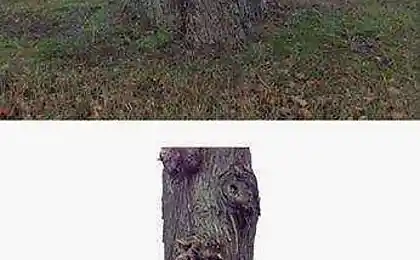 Ілюзія