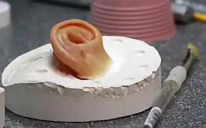 Ухо