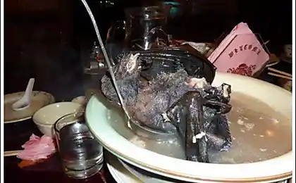 Супчик из летучих мышей никто не желает?
