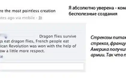 Так ли бесполезны комары?