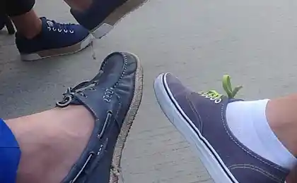 Друзья