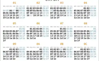 Каленадь программиста 2010