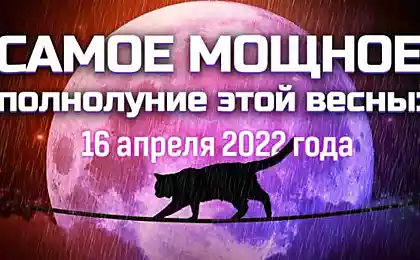 Почему полнолуние 16 апреля 2022 года особенное и как правильно провести этот день