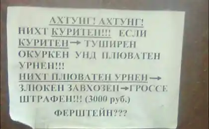 Нихт куриттен - гроссе штрафен!
