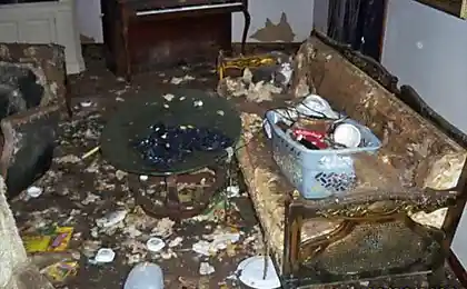 В этой квартире все так грязно (4 фото)