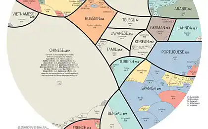 Global distribution of languages