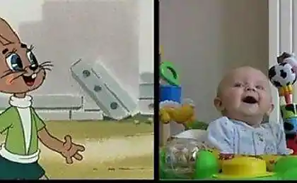 Заяц, заяц
