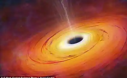 天文学家观察到的斗争的明星黑洞