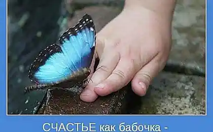 CИЛА ПРИВЫЧКИ.....