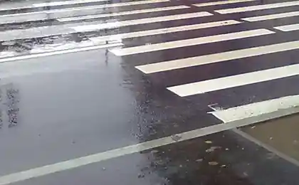 Веселый переход в Питере (7 фотографий)