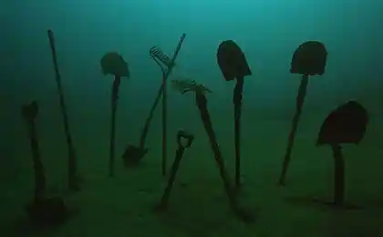 Подводные фотографии