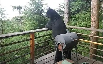 Михалыч на отдыхе....)))