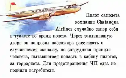 Забавные мировые новости