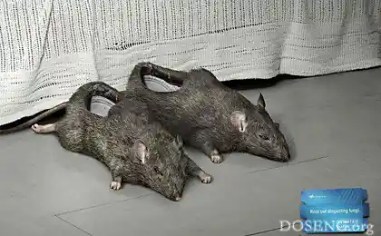 Найприємніша і неприємна реклама дня