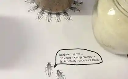Ручные питомцы