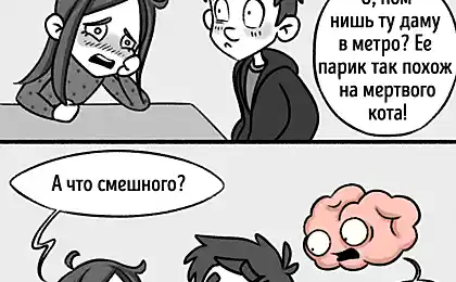 12 evidencia de que nuestro cerebro vive su vida